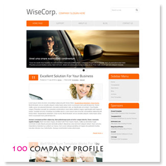 Company / Personal 100