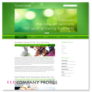 Company / Personal 111