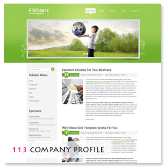 Company / Personal 113